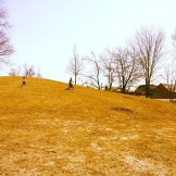 10157401_10152813143161992_3743964323157054863_n